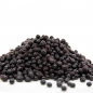 Preview: Holunderbeeren, TK, 1 kg