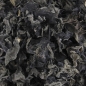 Preview: Mu-Err Pilze - auch Judas- oder Wolken-Ohren, klein, 1 kg