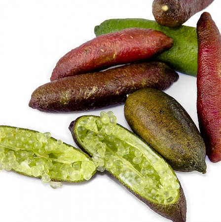 Downunder Finger-Limes/Limettenkaviar, frisch, Australien, per Kg