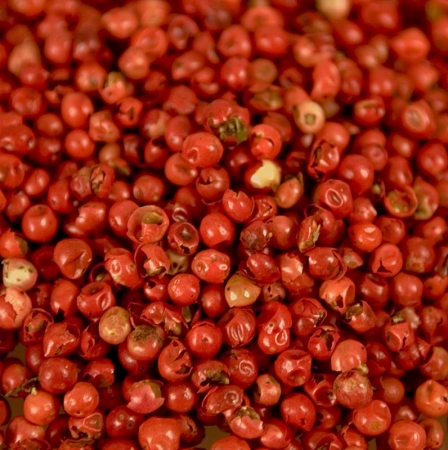 Rosa Pfeffer - Schinus-Beeren, getrocknet, 100g