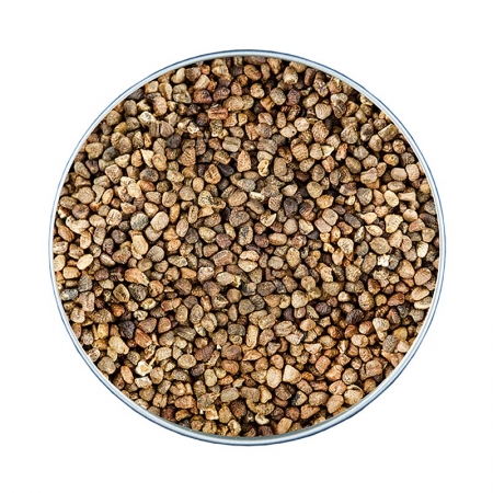 Preview: Kardamomsaatkörner, Altes Gewürzamt, 45g