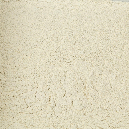 Preview: Gewürzgarten Knoblauch-Pulver, ungeschwefelt, 100g