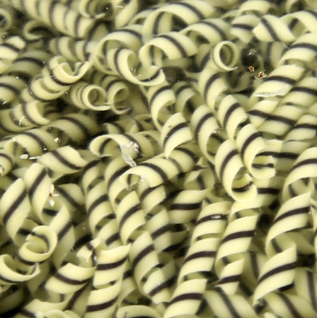 Deko-Aufleger "Tornado" - Lockenform, weiße/dunkle Schokolade, ca. 10x55mm, 800g