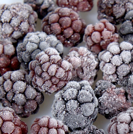 Brombeeren, ganz, TK, Boiron, 1 kg