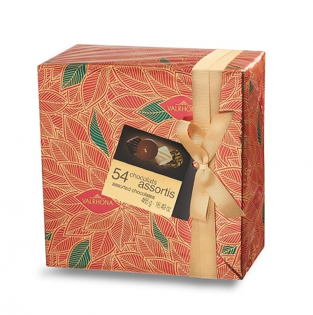 Valrhona Pralinen-Mischung, Weihnachtspapier (Wintersaison), 465g, ca.54 St