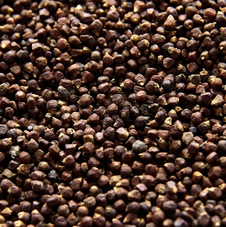 Paradieskörner - Guinea-, Melegue-, Malagetta-, Maniguette Pfeffer, 250g