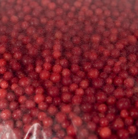 Wildpreiselbeeren, TK, 2,5 kg