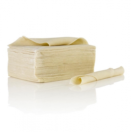 Wan Tan Teig-Blätter, dick, 8,5x9cm, TK, 500g, ca.70 St