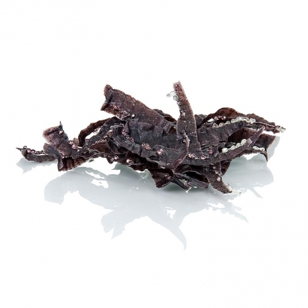 Tasty Bites "Octupus-Kimshi" - Fingerfood auf Reisbasis zum Frittieren, 160g, 215 St