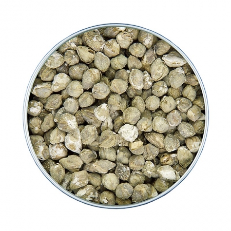 Kapern ganz, gesalzen, gefriergetrocknet, Altes Gewürzamt, 40g