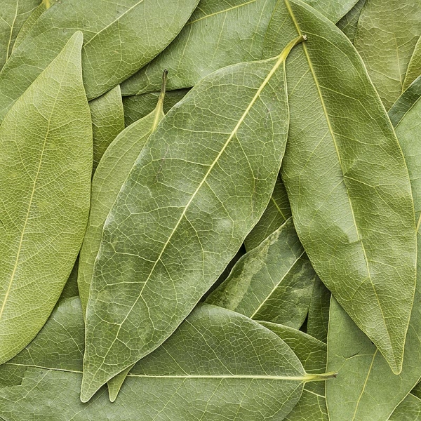 Berg Lorbeerblätter, luftgetrocknet, Altes Gewürzamt, 5g