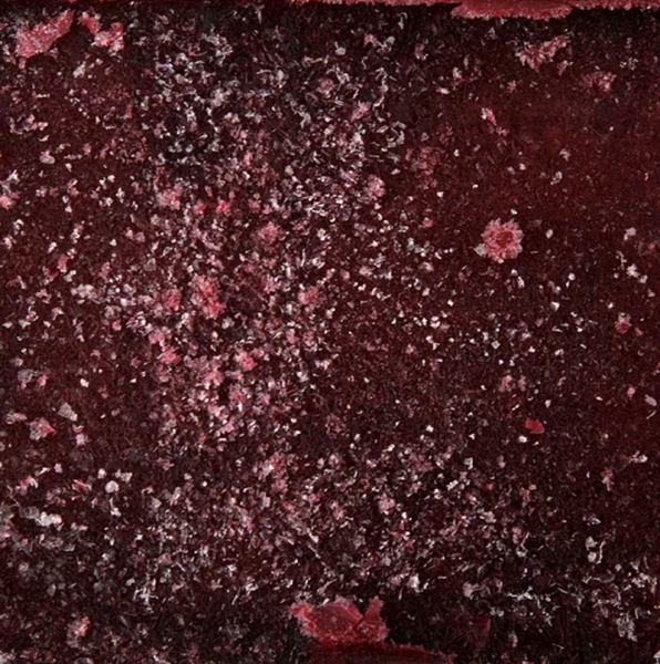 Schlehen/ Schwarzdorn-Püree/ Mark, TK, 2,2 kg