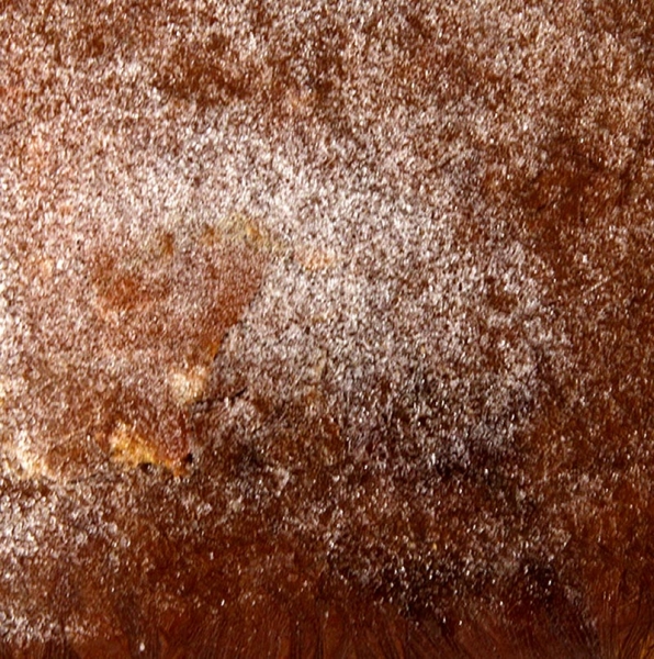 Hagebutten Püree/Mark, TK, 2,2 kg