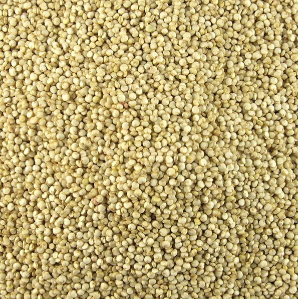 Quinoa - Das Wunderkorn der Inkas, weiß, Peru, 1 kg