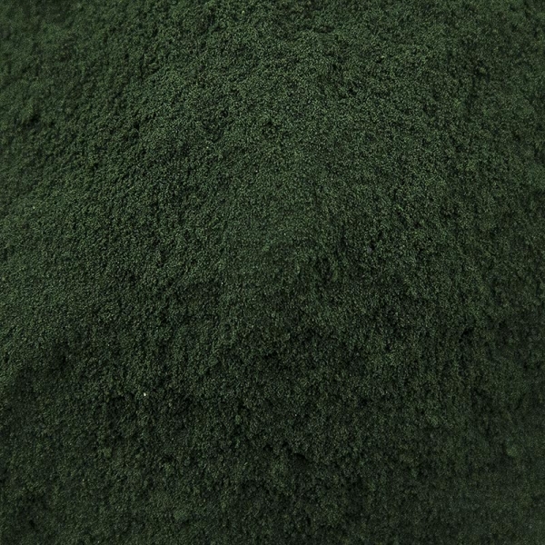 Gewürzgarten Spirulina platensis (Blaualgen), gemahlen, 120g