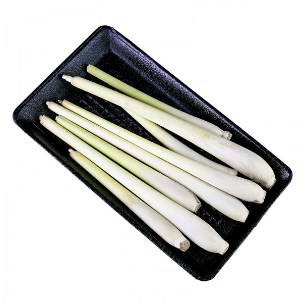 Zitronengras, ca. 17cm lang, frisch, 100g