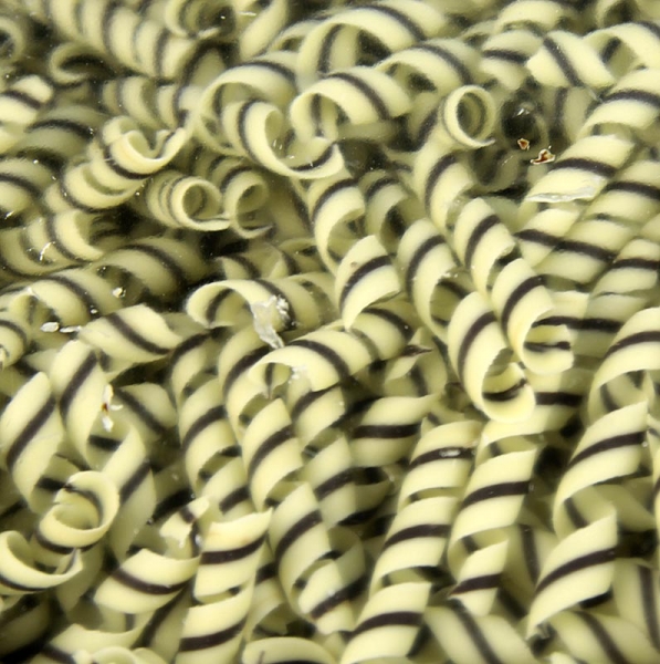 Deko-Aufleger "Tornado" - Lockenform, weiße/dunkle Schokolade, ca. 10x55mm, 800g