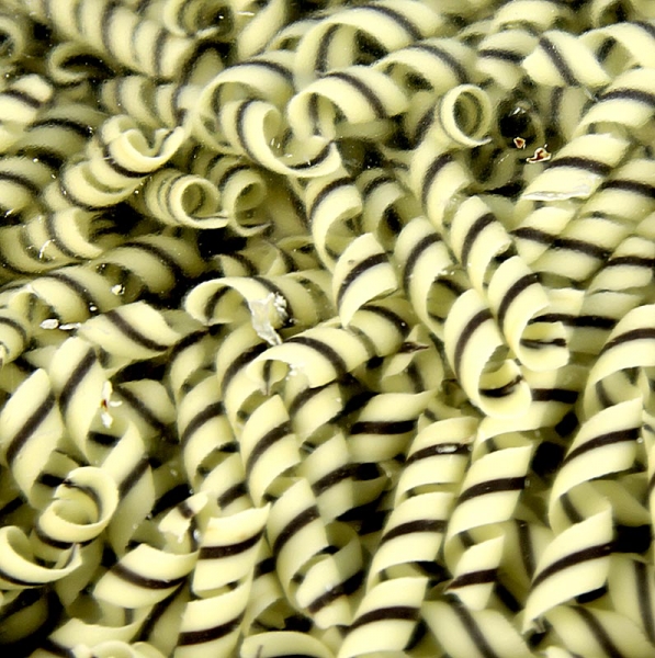 Deko-Aufleger "Tornado" - Lockenform, weiße/dunkle Schokolade, ca. 10x55mm, 800g