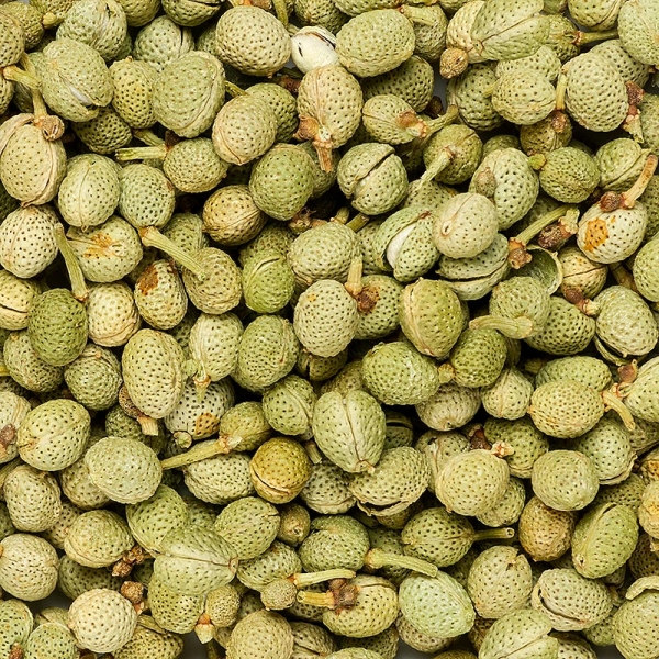Sansho Pfeffer, ganz, grün, Japan, 100g