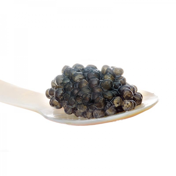 Desietra Baeriskaya Kaviar (Acipenser baerii), Aquakultur Deutschland, 250g