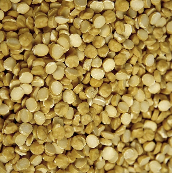 Kichererbsen - Chana Dal, halbiert, geschält, getrocknet, 2 kg
