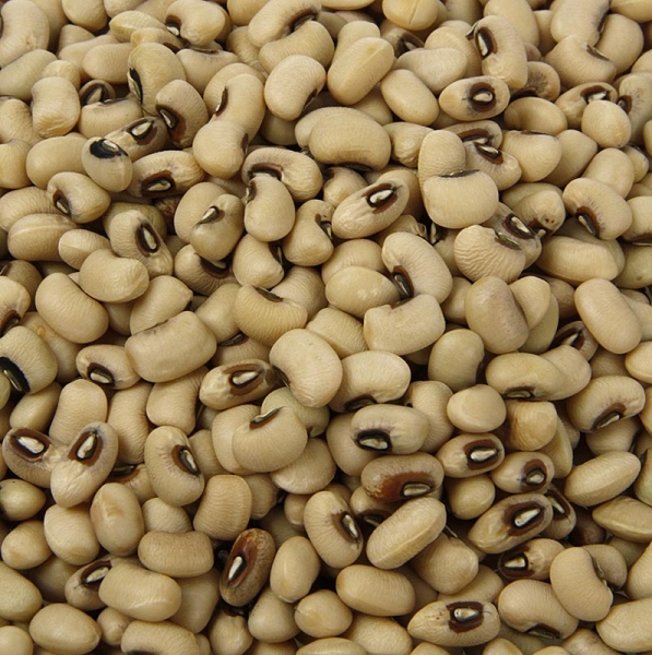 Bohnen, Black-Eye Beans - weiß mit schwarzen Augen, getrocknet, 500g