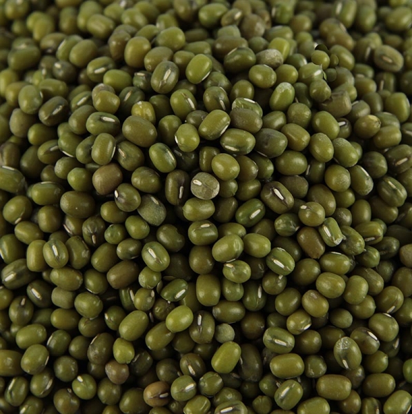 Bohnen, Mungbohnen, grün, getrocknet, 400g