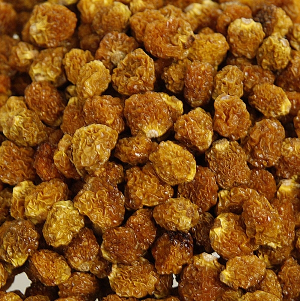 Kapstachelbeeren/Physalis, getrocknet, 1 kg