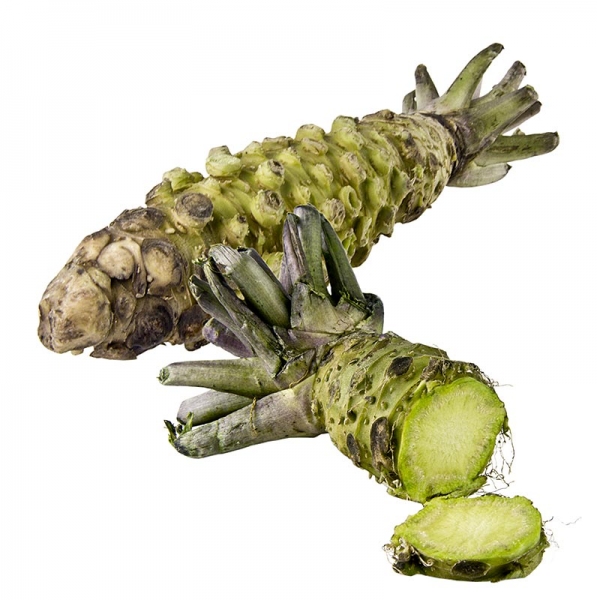 Wasabiwurzel, frisch, ganz, ca.90g