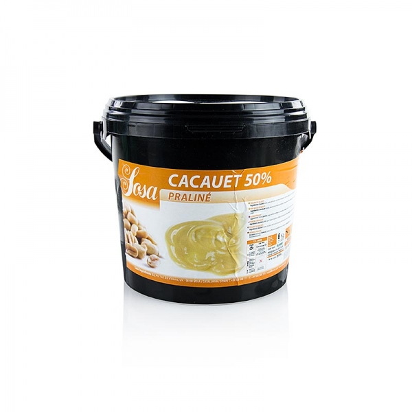 Paste - Erdnuss Praline, 50% Zucker, 6 kg