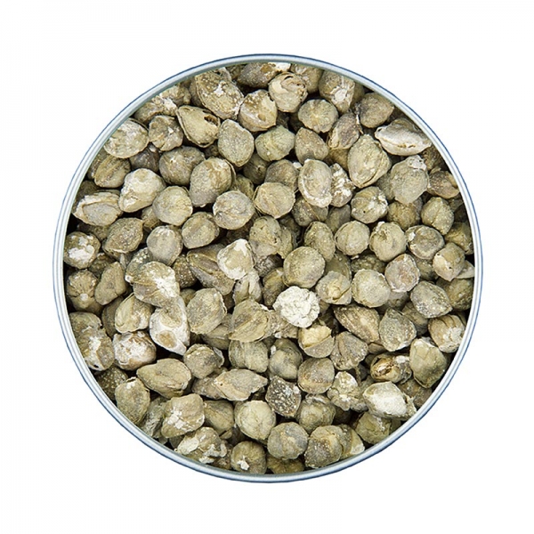 Kapern ganz, gesalzen, gefriergetrocknet, Altes Gewürzamt, 40g