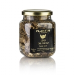 Steinpilze - Cèpes, Plantin, 50g