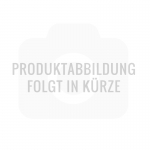 Cheddar Cheese Sauce, aus Mexiko, 3 kg