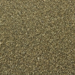 Selleriesamen, ganz, 1 kg